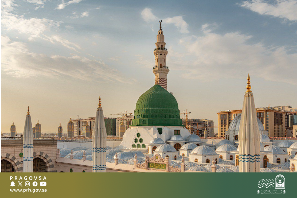 oooooooodonojooooooooooooo 2