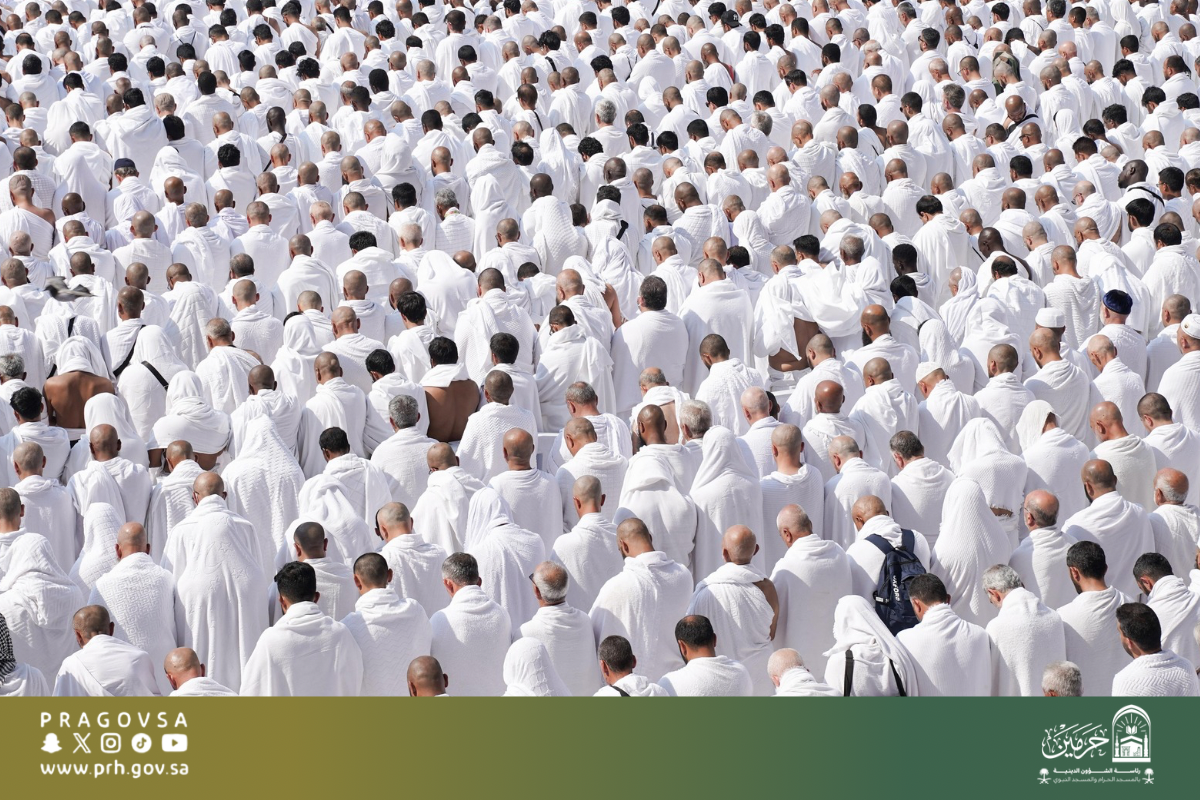 oooooooodonojooooooooooooo 3